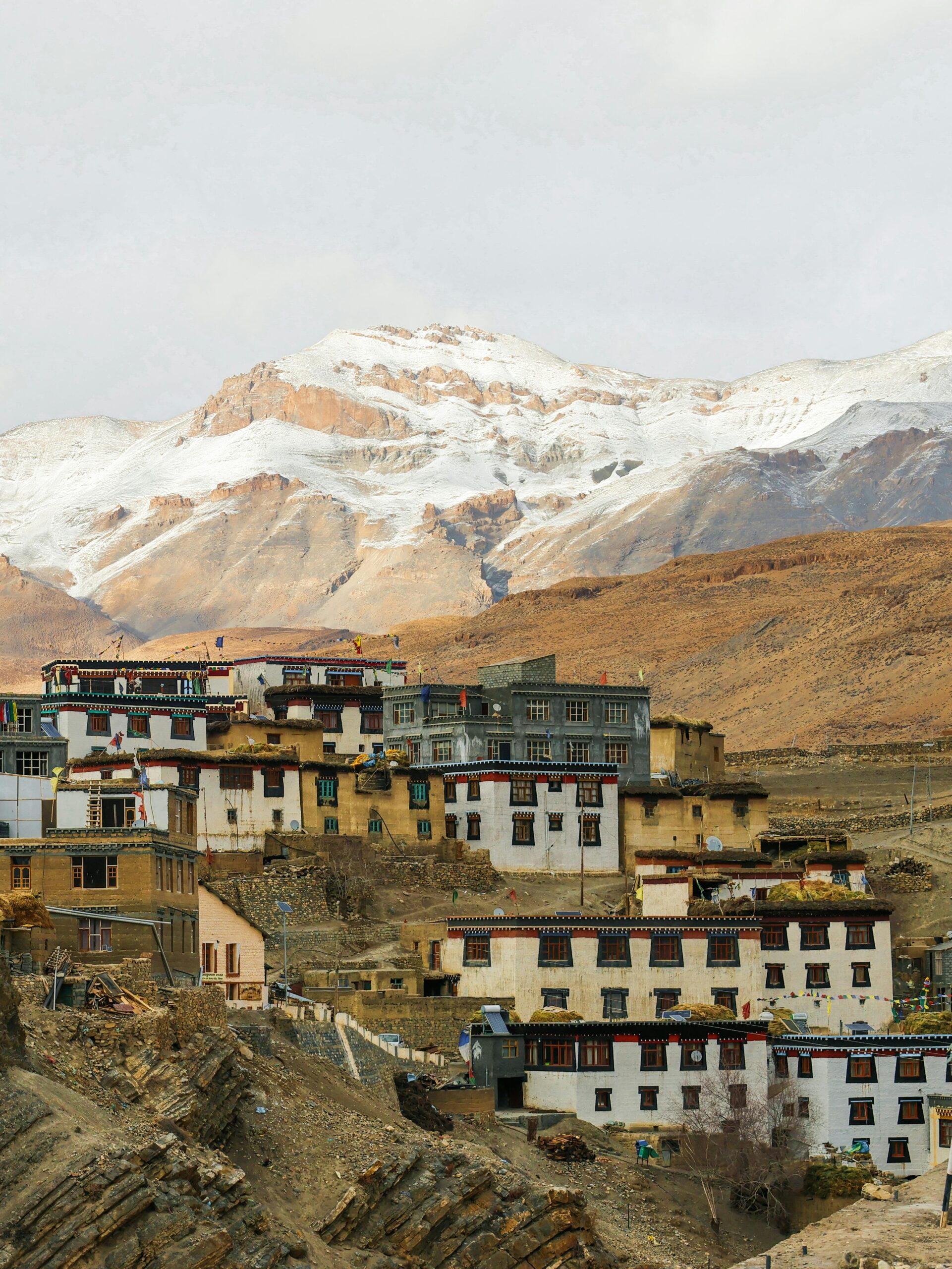 pexels-dhruv-jangid-2945224-33483415